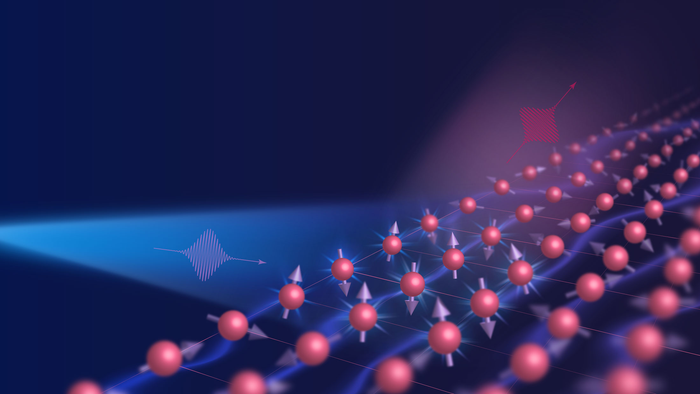 The spin origin of electronic nematicity in iron-based superconductor, FeSe.