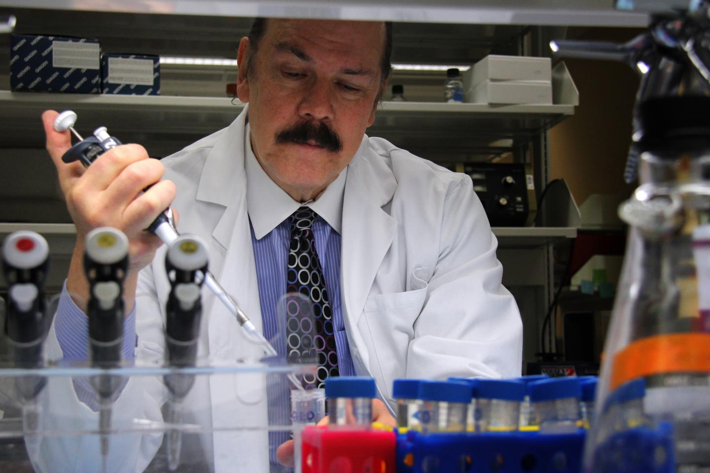 Paul Fisher, M.Ph., Ph.D.