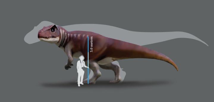 Dino Scale