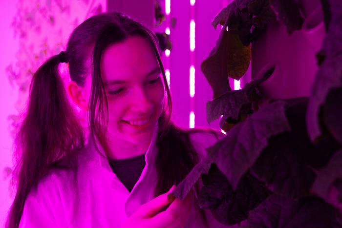 Global sustainability student Kaitlin Campbell, 21, examines a leaf in the vertical farm