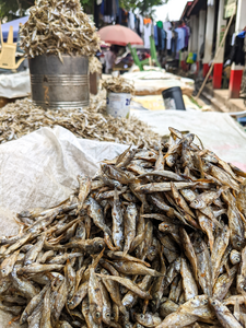 Market for dried omena (Lake Victoria sardine) in Kisumu, Kenya