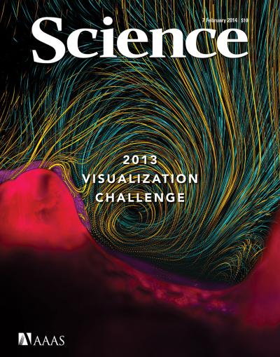 Invisible Coral Flows