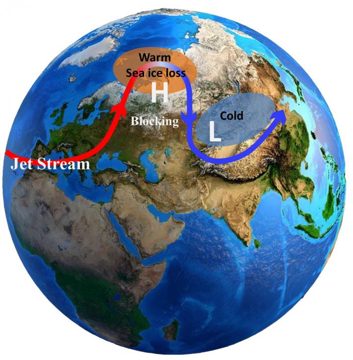 Arctic Warming and Eurasian Cold Events