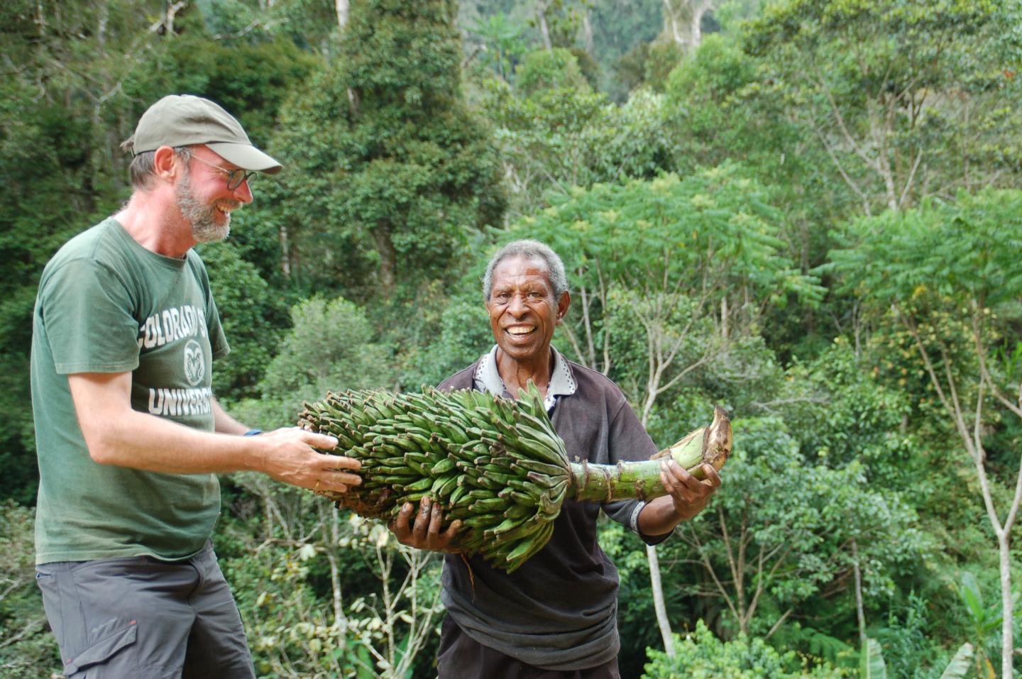 Bananos silvestres en PapÃºa Nueva Guinea (2)