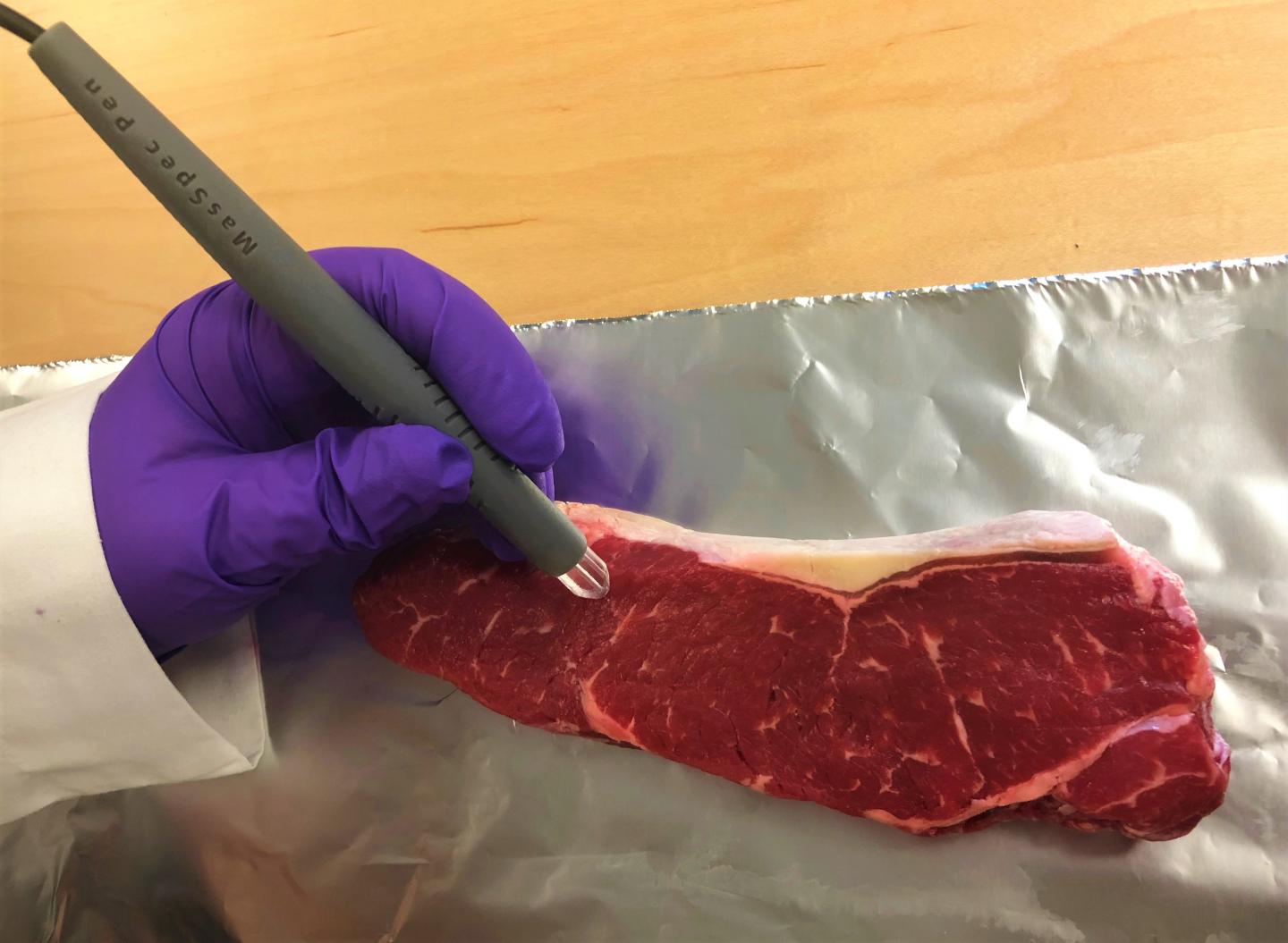 Revealing meat and fish fraud with a handheld 'MasSpec Pen' in seconds