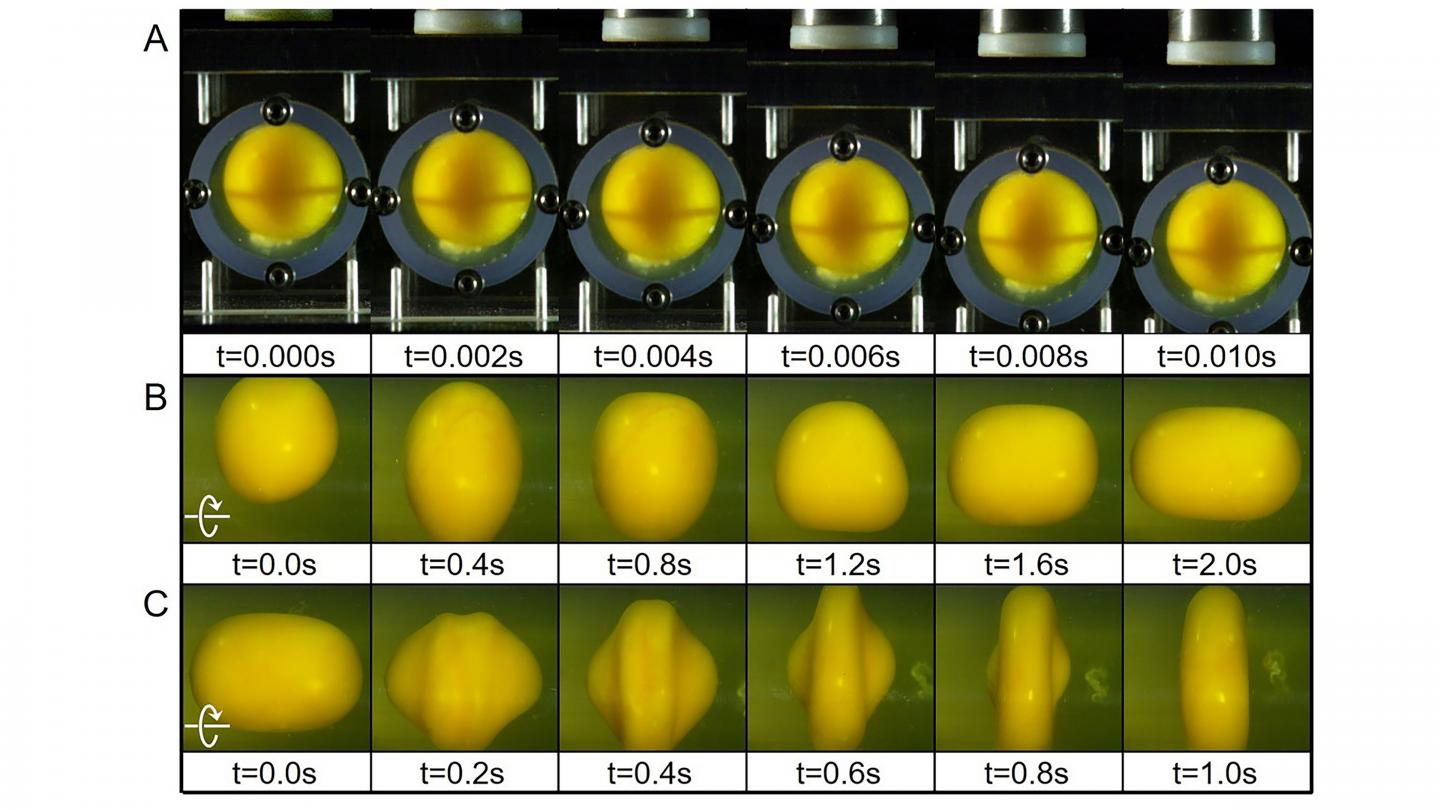 Reactions of egg yolk under impact