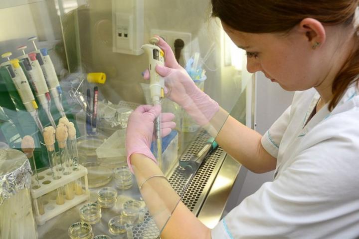 <em>Yarrowia lipolytica</em> Y-3492 Strain