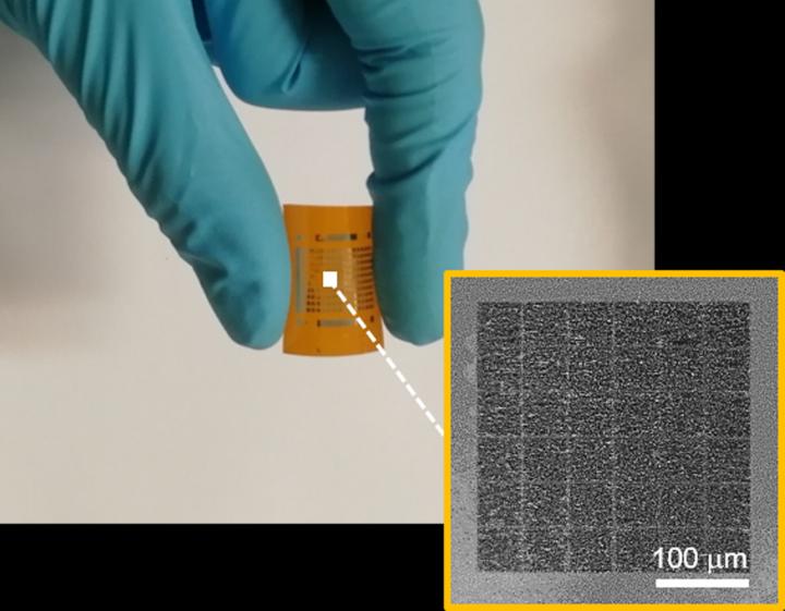 The flexible quasi-2DEG photonic synapse device.