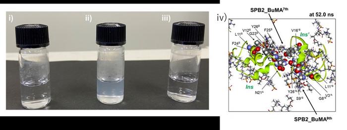 Inhibition of aggregation of insulin solution