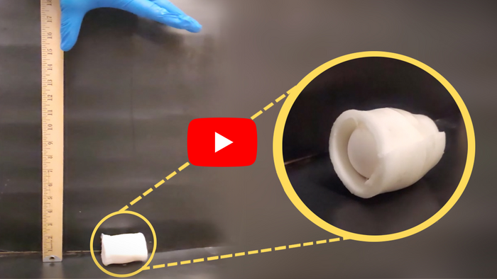 New gel protects eggs — and maybe someday, heads — from damage (video)