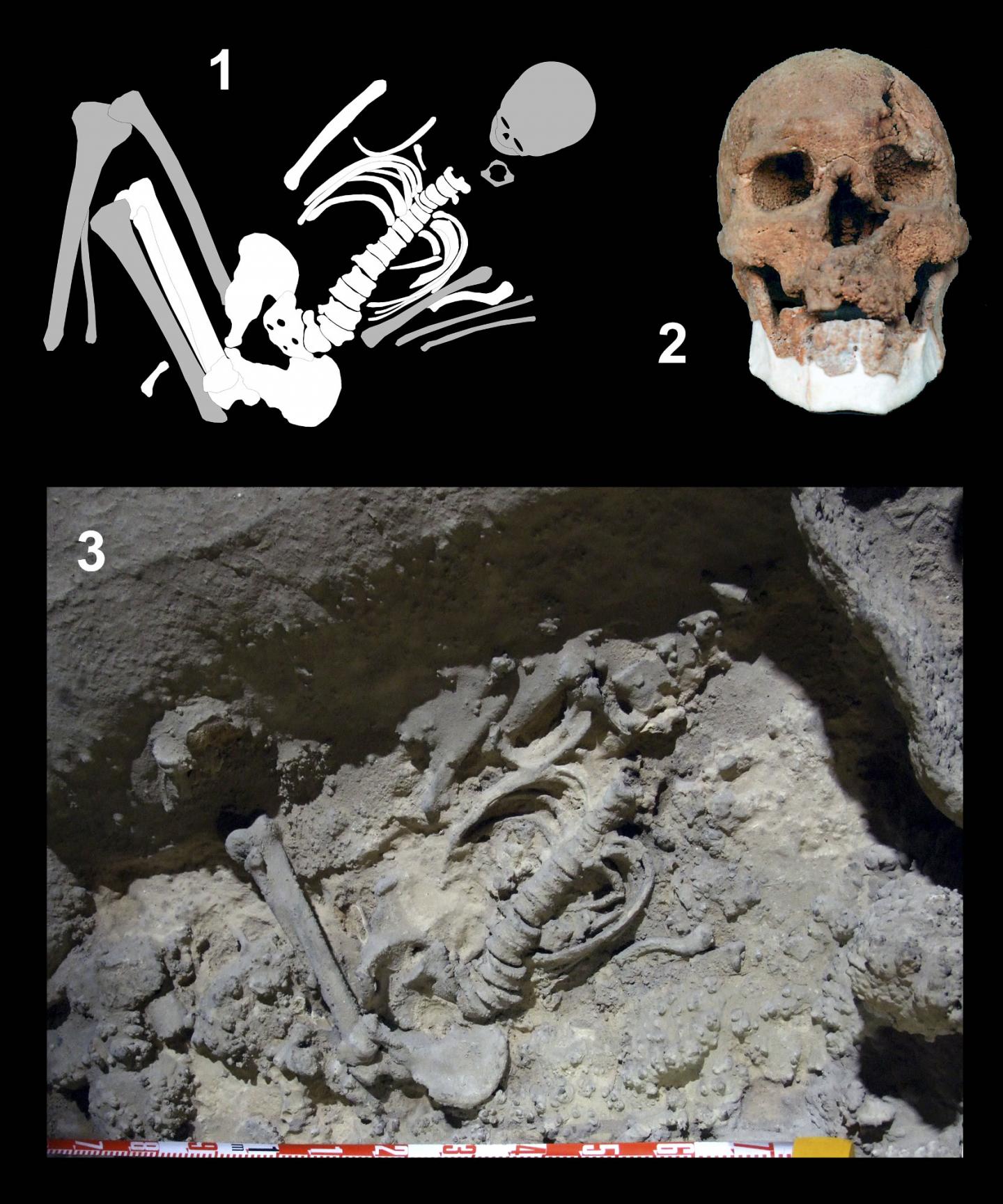 Cueva de los Murci&eacute;lagos (Andalusia)