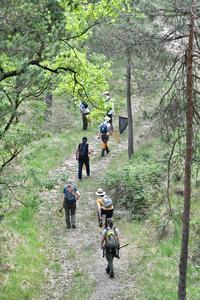 On the lookout for butterflies in the mountains of Catalonia.