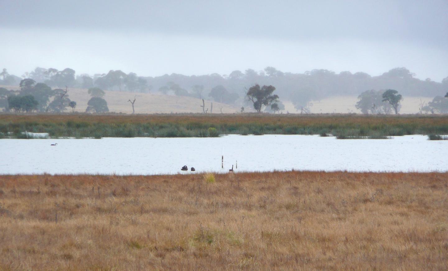 Deforestation: Making the World a Wetter Place (1 of 6)