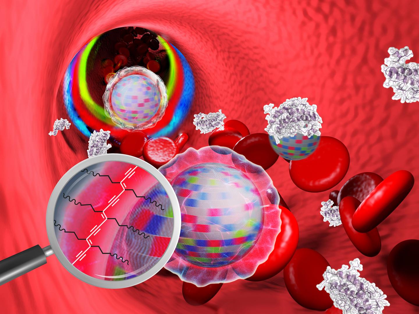 Coated Nanoparticles in the Blood Stream