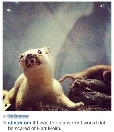 Instagram -- More Than Self-Portraits and Pictures of Food