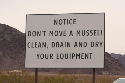 Don't Move a Mussel