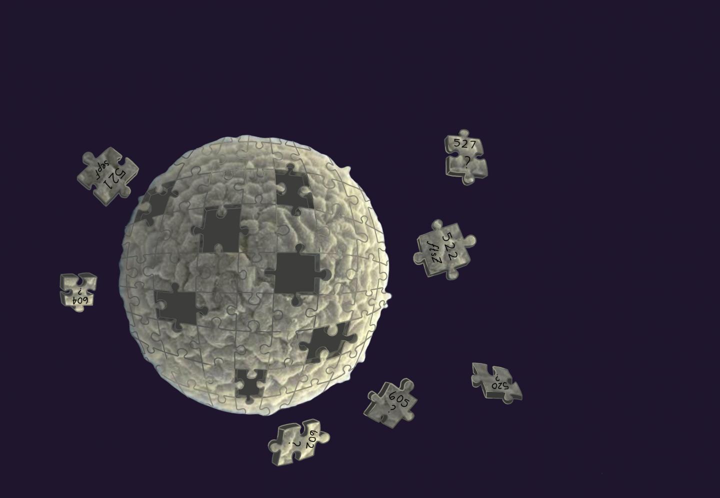 SEM puzzle simple cell