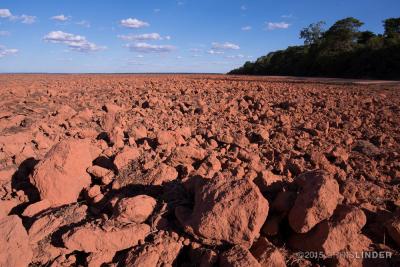 Dry Season Soy Field