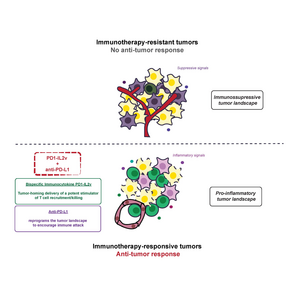 A schematic summary of the study