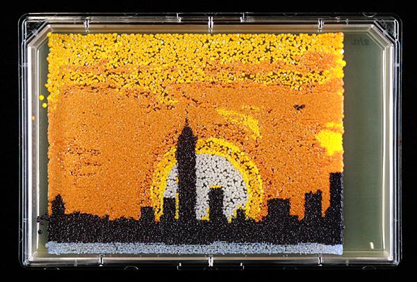 2016 winners of FASEB BioArt competition anno | EurekAlert!