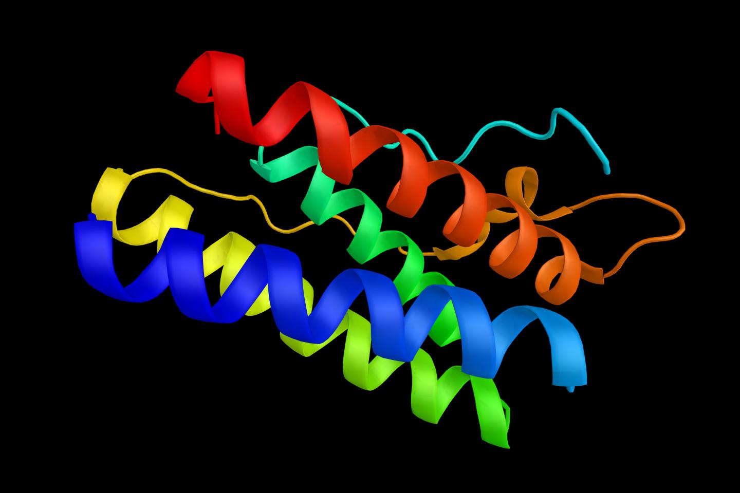 Leptin