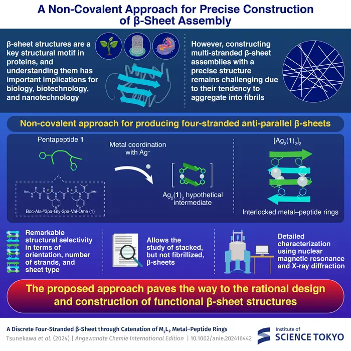 A Non-Covalent Approach for Precise Construction of β-Sheet Assembly