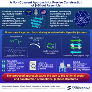 A Non-Covalent Approach for Precise Construction of β-Sheet Assembly