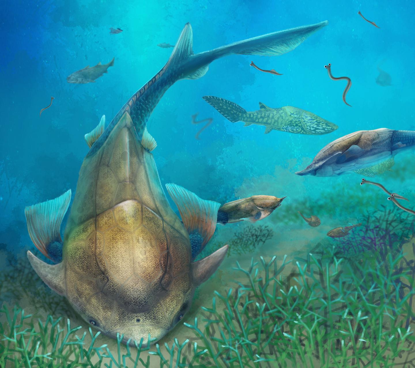 Life Reconstruction of <i>Qilinyu</i> (1 of 2)