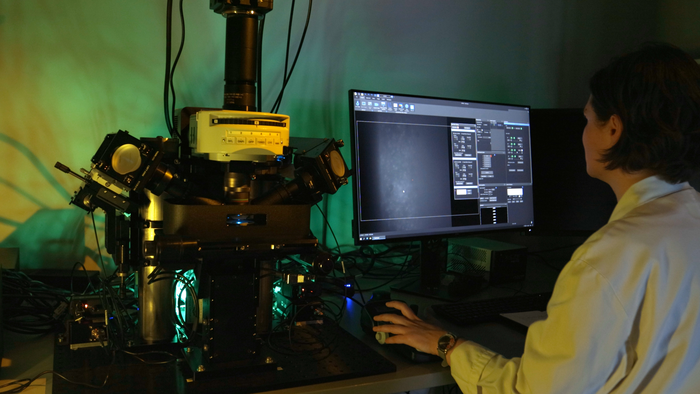 lightsheet microscopy at the Wyss Center