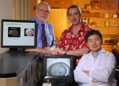 Al Merrill, Cameron Sullards and Yanfeng Chen, Georgia Institute of Technology