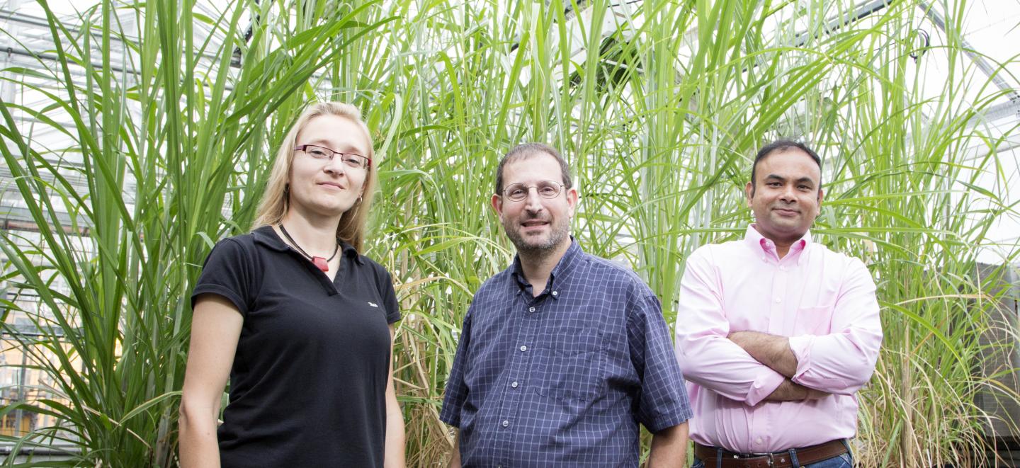 University of Illinois Research Team