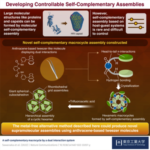 Developing Controllable Self-Complementary Assemblies