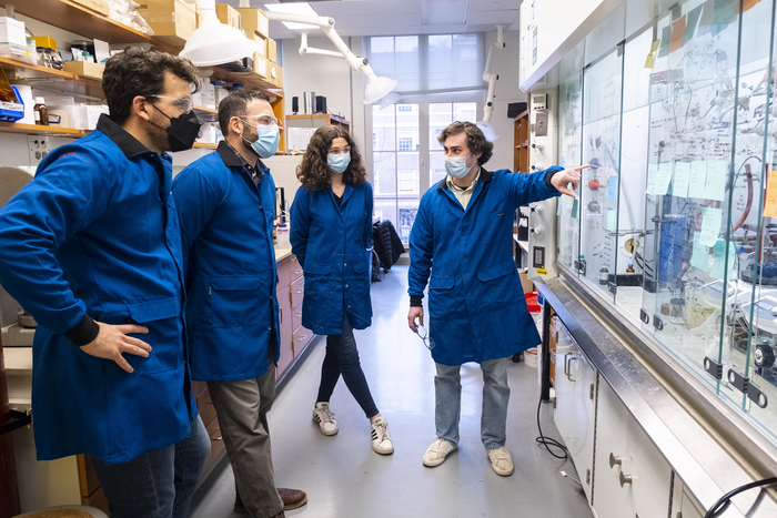 Creating a better plastic