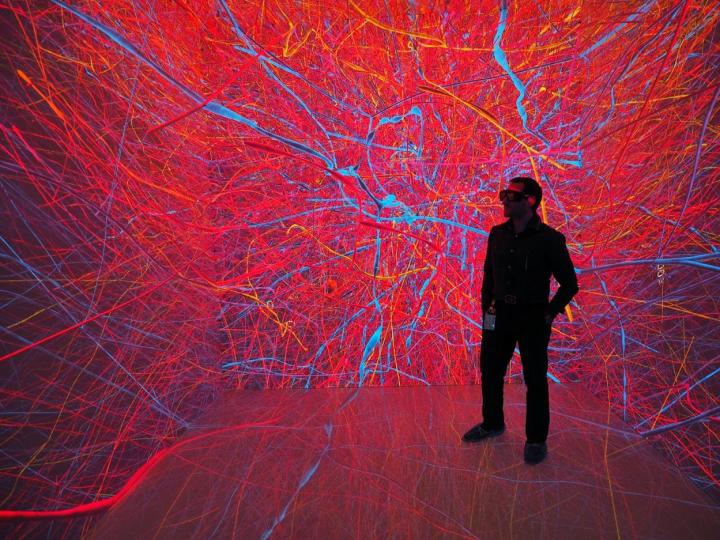 Ground-Breaking Work Improves Understanding of Brain Function