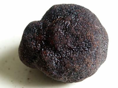 Black Truffle