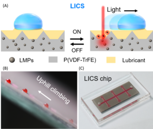 Slippery lubricant-infused porous surfaces platform