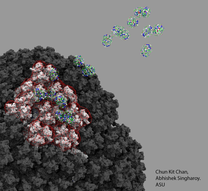 A closer look at PF4 and COVID-19 adenovirus-based vaccine interactions