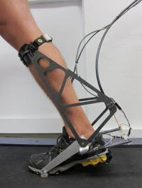 Ankle Interface for Assistive Ankle Robot Simulator