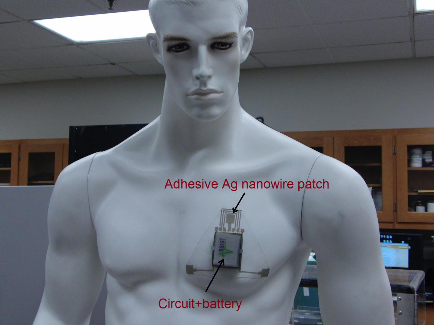 Wearable Hydration Sensor