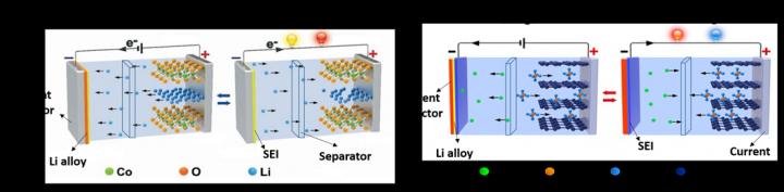 LIBs (a) and DIBs (b)