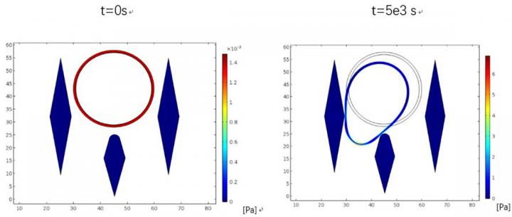 Simulations Showing Cancerous Multiple Myeloma Cells Getting Stuck between Micropillars in a New Fil