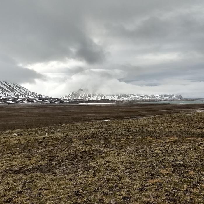 Landscape at Svalbard