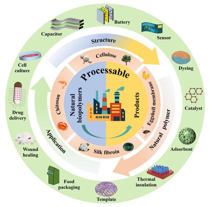 Overview of different varieties of natural biopolymers and their corresponding applications