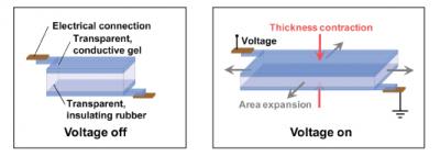 Ionic Conductors Diagram
