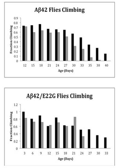 Hecht Mobility Graphs