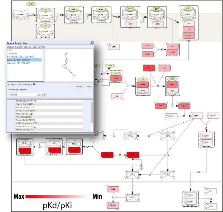Visualization of the Screening Result of a Potential Drug Against Biological Molecules Involved in a