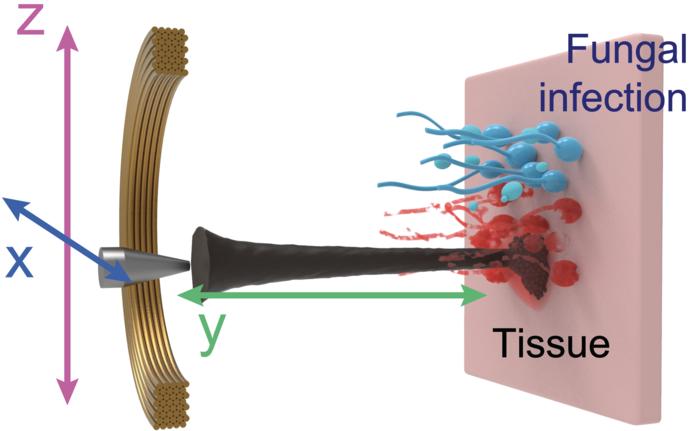 Fungal nanozyme microrobotic system