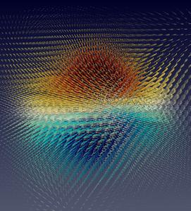 Topological polarons