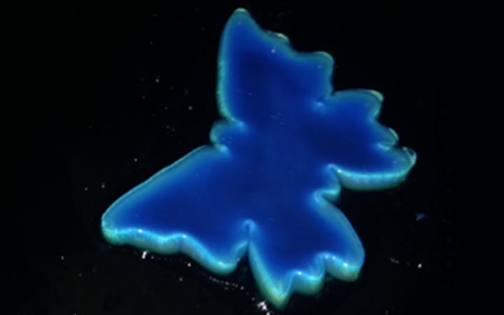 A Synthetic Chameleon Skin