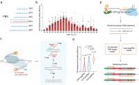 Researchers Improve Plant Prime Editing Effic | EurekAlert!